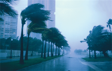 Glass -safety -film1